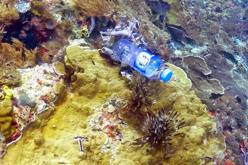 Coral Reefs and Plastic Pollution