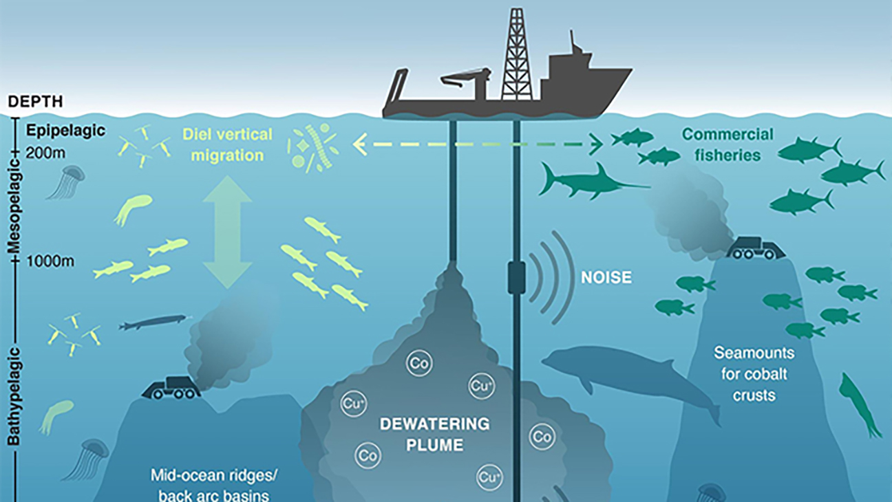 Deep Sea Mining Noise Pollution