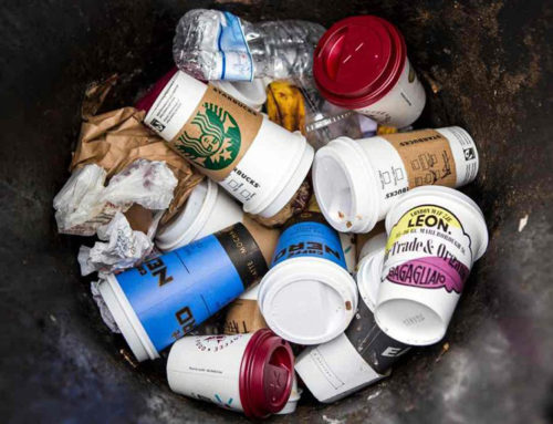 Foodservice Packaging Institute Survey Revolutionizes Recycling Perceptions