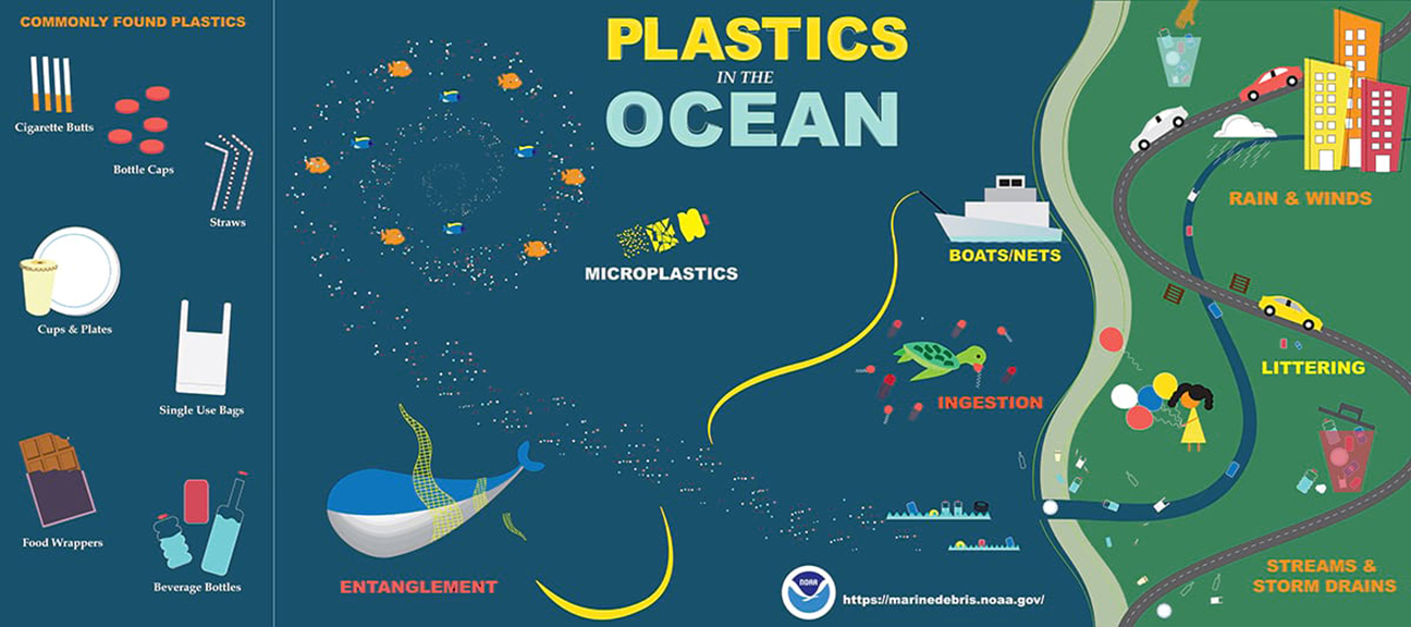 Ocean Plastic Removal