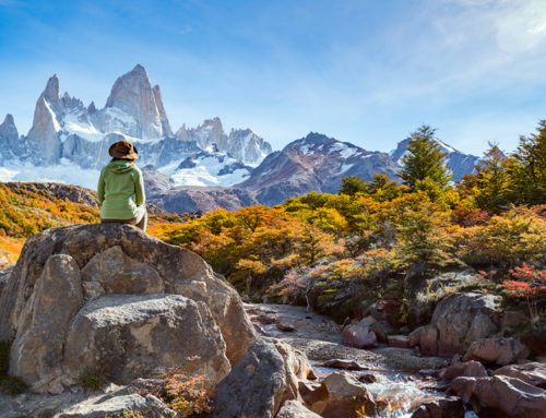 Pioneering Sustainability: The Patagonia Model
