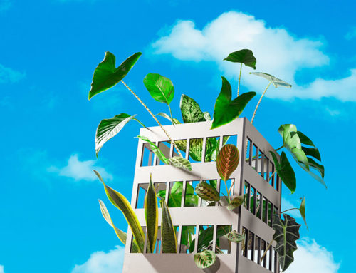 Sustainable Retrofits In Commercial Real Estate