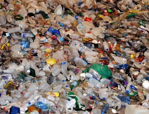 Australian Government Invests in Soft Plastics Recycling Technology