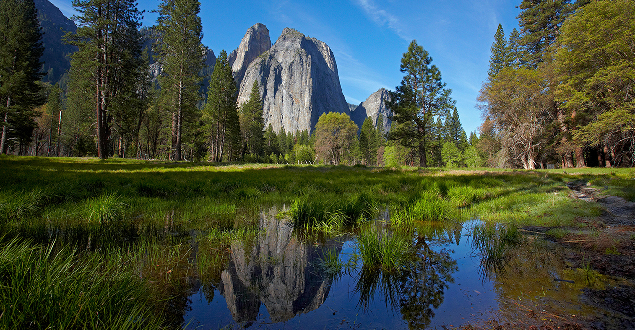 Stericycle Restoring Wetlands