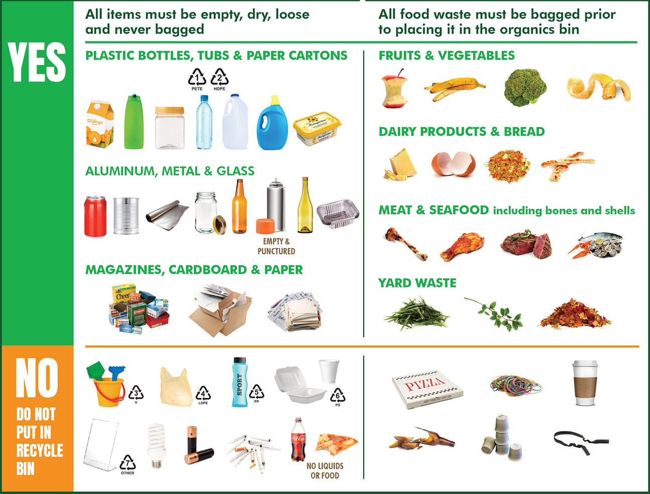 Waste Management Infographic